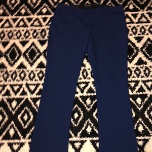Express Columnist Blue Dress Slacks